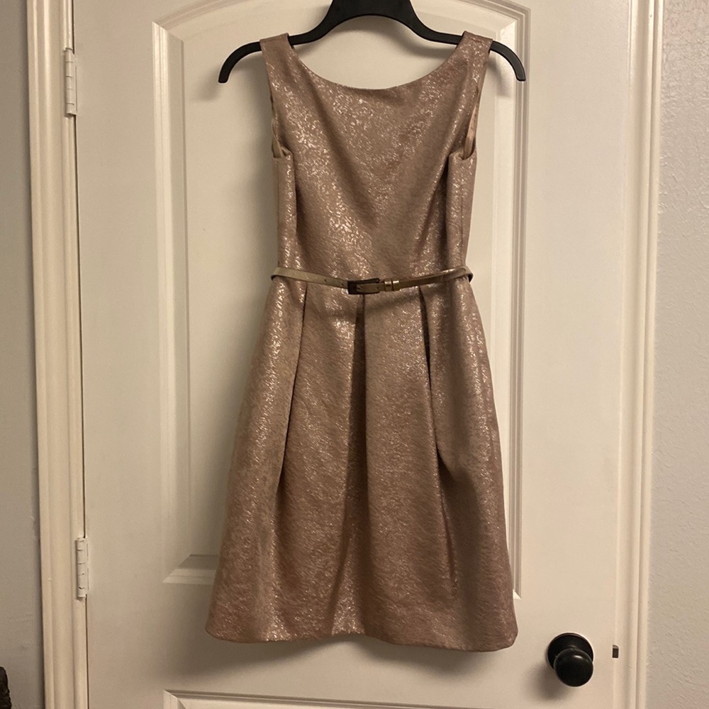 Gorgeous Eliza J Dress size 4P